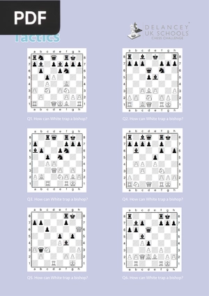 Chess Tactics
