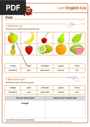 Fruit
