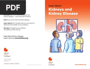 Learn About Kidneys and Kidney Disease