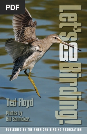 Lets go Birding