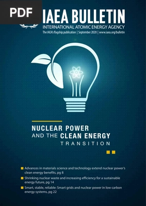 Nuclear power and the clean energy transition