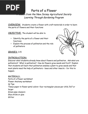 Parts of a Flower