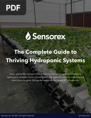 The Complete Guide to Thriving Hydroponic Systems