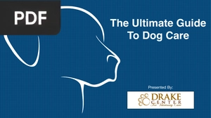 The Ultimate Guide To Dog Care