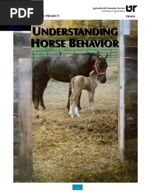 Understanding Horse Behavior