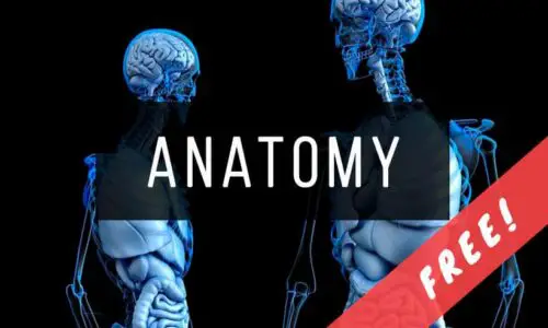 Anatomy Books