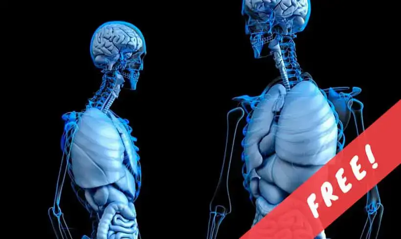 Download 20 Free Anatomy Books Pdf Infobooks Org