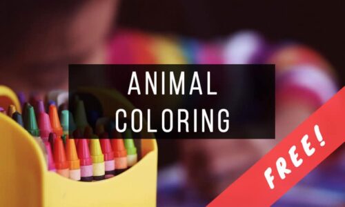 Animal Coloring Books