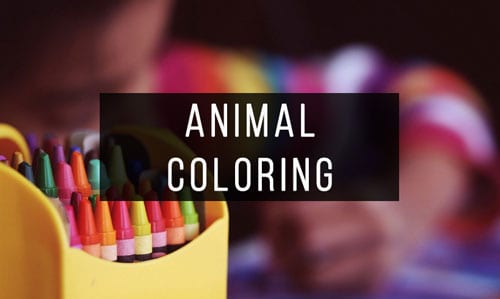 Animal-Coloring-Books Animal-Coloring-Books