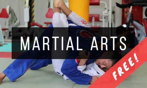 Martial Arts Books