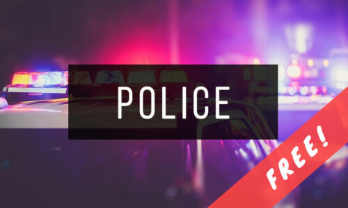 Police Novel Books