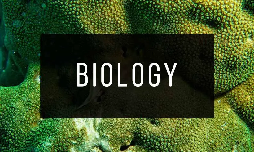 50 Free Biology Books [PDF] | Infobooks.org