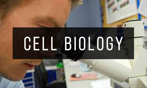 Cell-Biology Cell-Biology