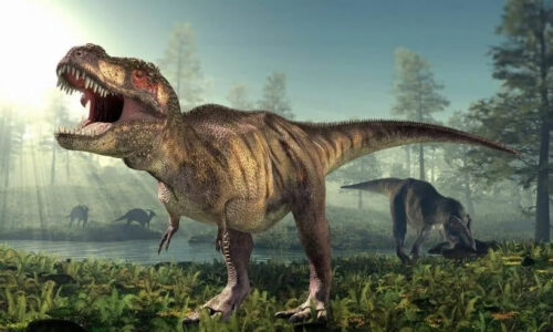 Dinosaurs Books