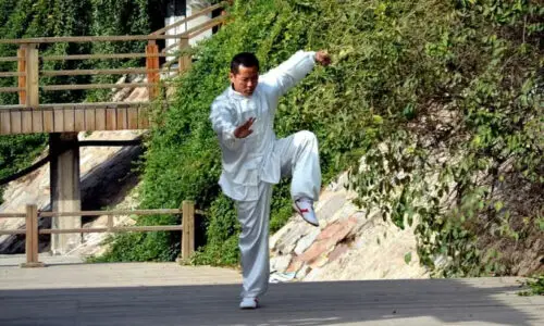 Chi Kung Books