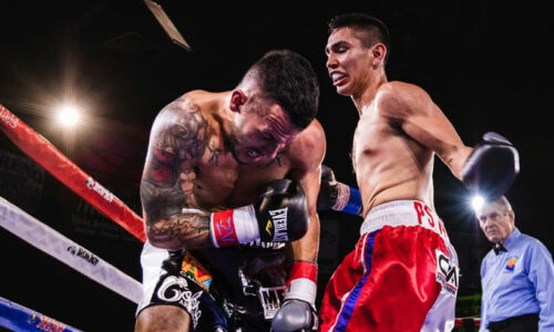 Boxing Books