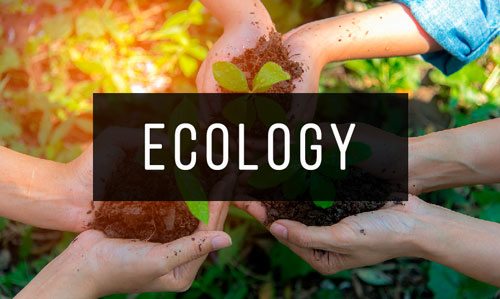 Ecology Ecology