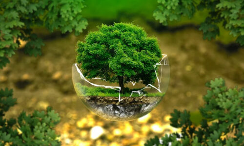 Environmental Biology Books