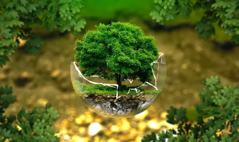 Environmental-Biology-Books