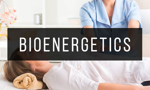 Bioenergetics Bioenergetics