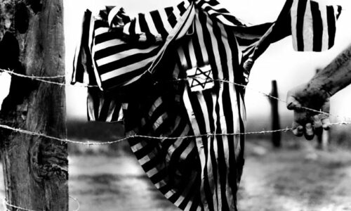 Books on the Holocaust