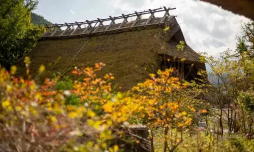 Japanese Mythology Books