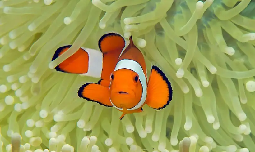 Marine-Biology-Books
