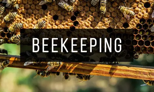 Beekeeping Beekeeping