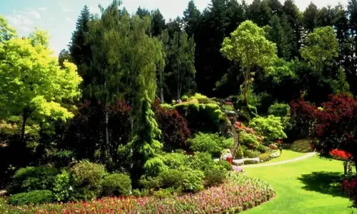 Landscaping Books