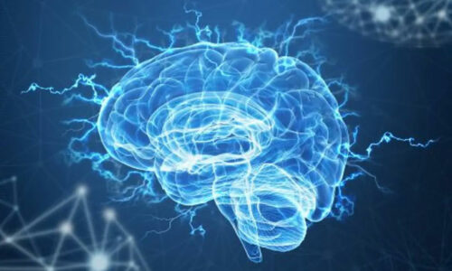 Mental Power Books