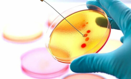 Microbiology Books