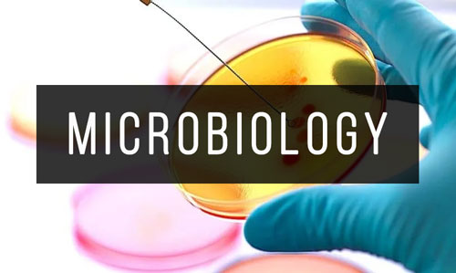Microbiology Microbiology