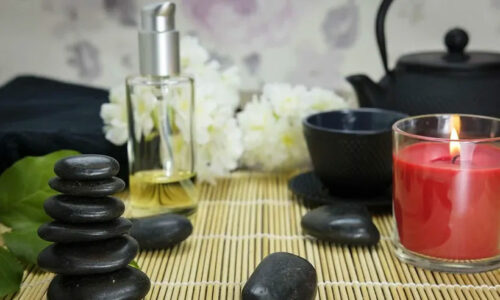 Ayurveda Books