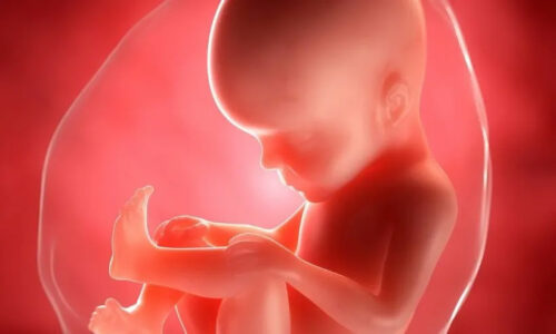 Embryology Books