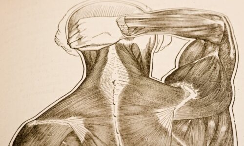 Physiology Books