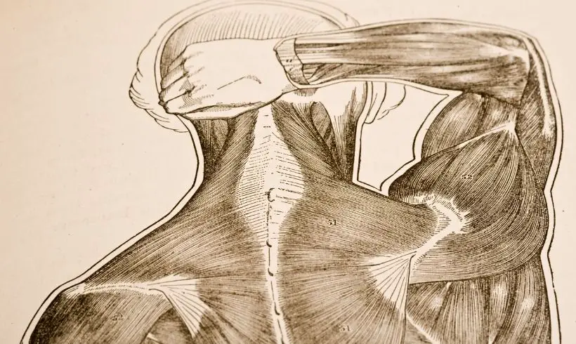 Physiology Books