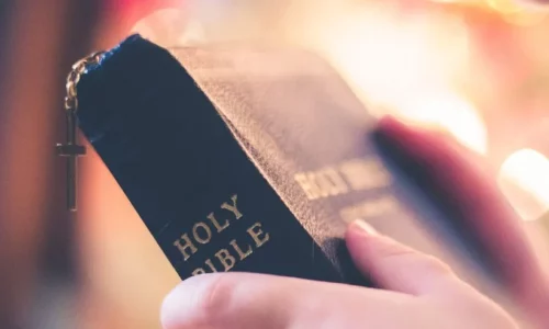 Biblical History Books