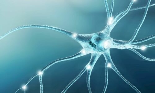 Neurology Books