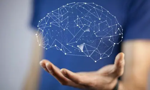 Neuroscience Books