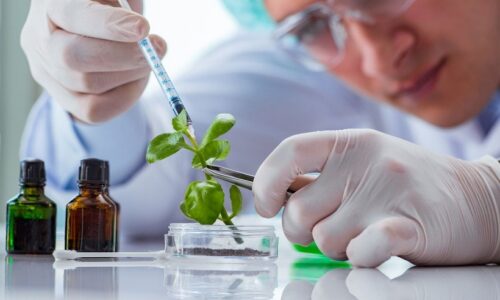 Biotechnology Books