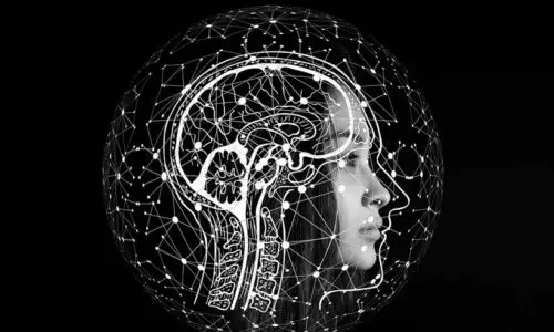 Neuroanatomy Books