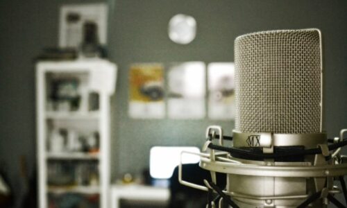 Voice-over Books