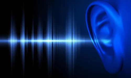 Acoustic Physics Books