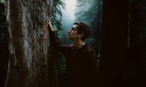 Horror Books for Teenagers