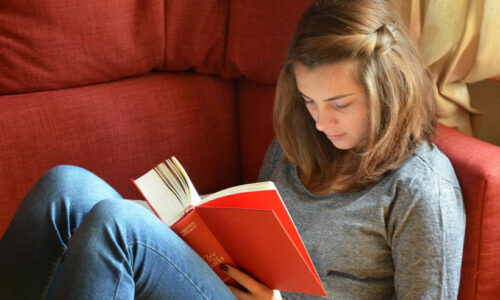 Historical Novels