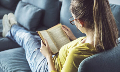 Renaissance Novels