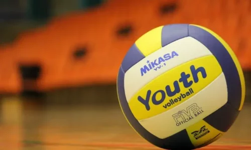 Volleyball Books