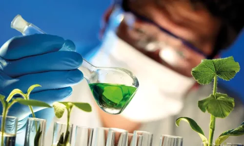 Bioengineering Books