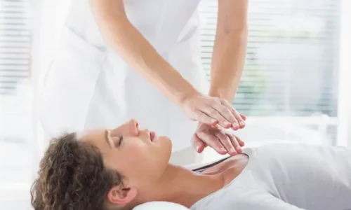 Holistic Medicine Books