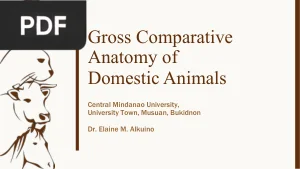 Gross Comparative Anatomy of Domestic Animals